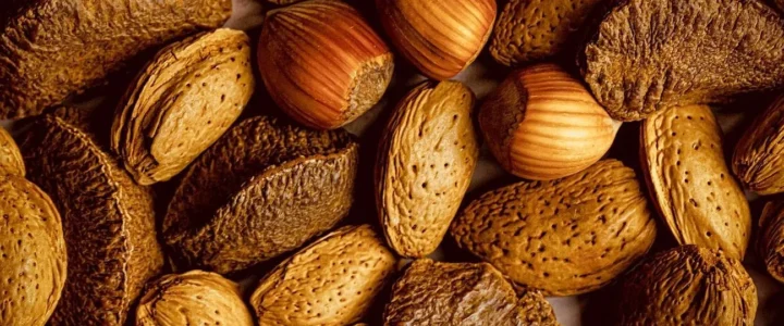 Quel aliment ne pas manger quand on a un appareil dentaire : Guide des interdits alimentaires
